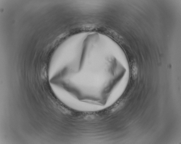 X0000076271204200610262022