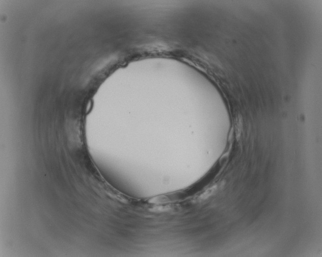 X0000076271205200610262022