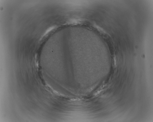 X0000076271206200610262022