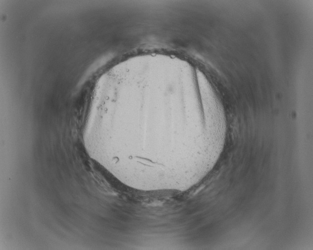 X0000076271207200610262022