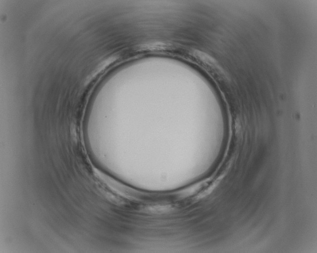 X0000076271209200610262022