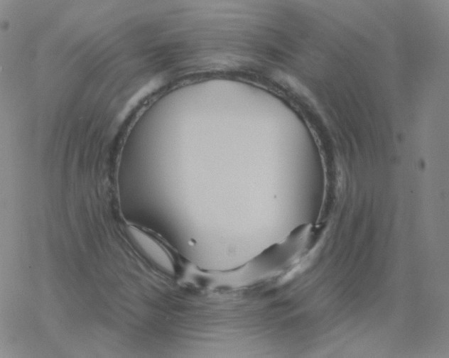 X0000076271210200610262022