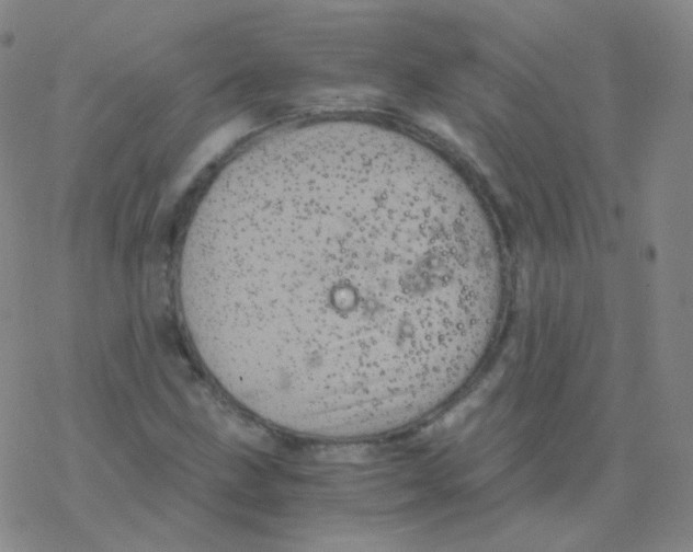 X0000076271211200610262022