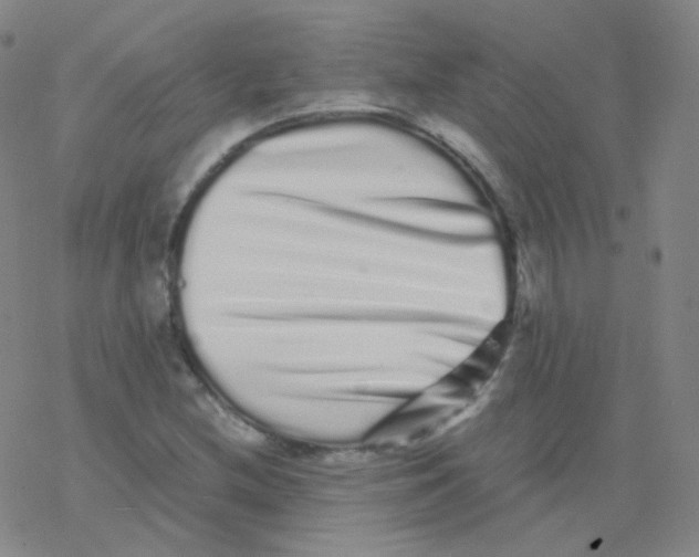 X0000076271212200610262022