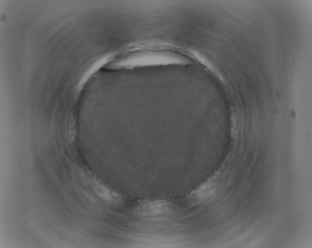 X0000076271213200610262022