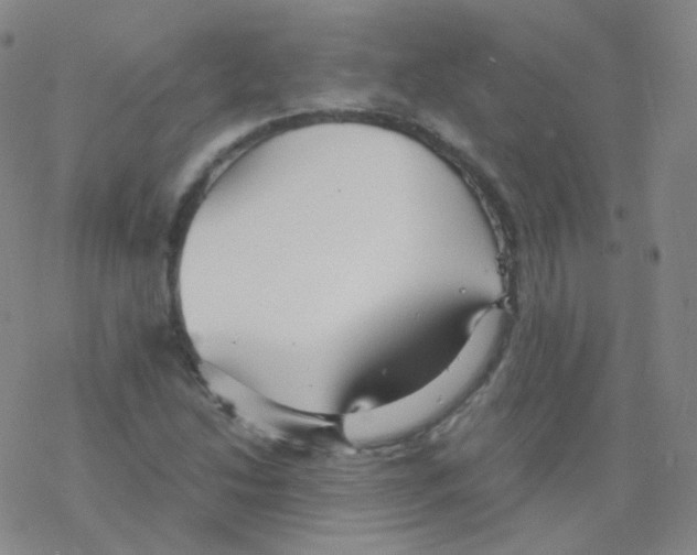 X0000076271214200610262022