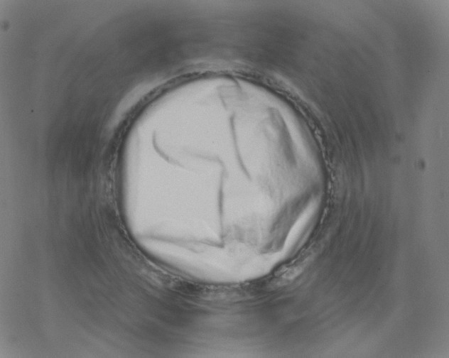 X0000076271215200610262022