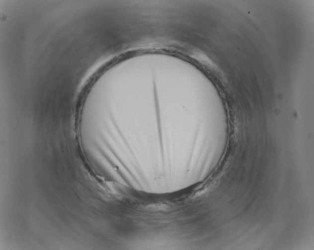 X0000076271216200610262022