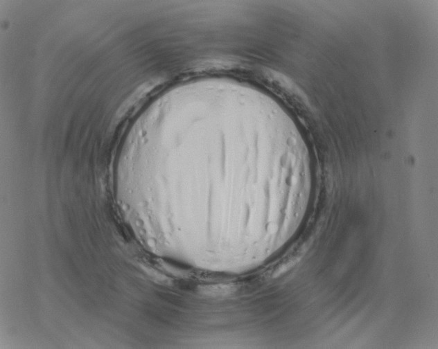 X0000076271217200610262022