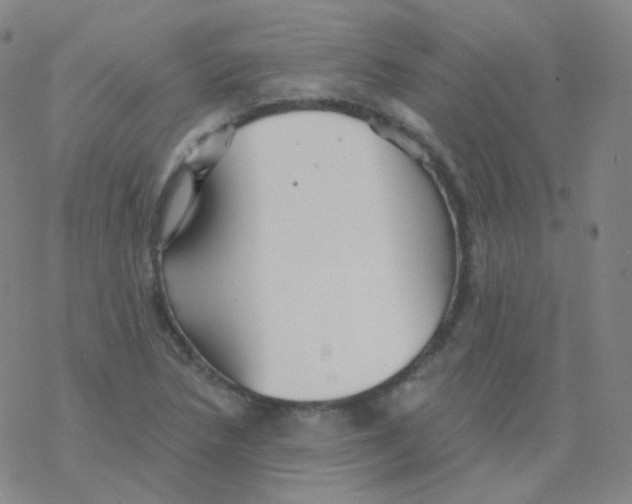 X0000076271218200610262022