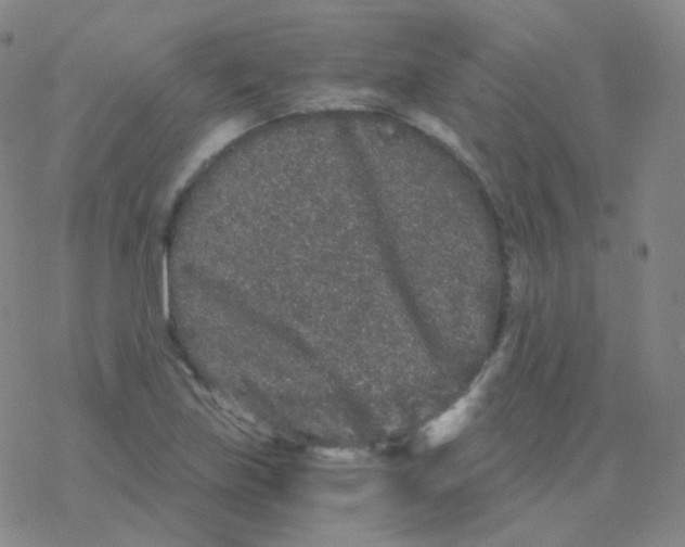 X0000076271219200610262022