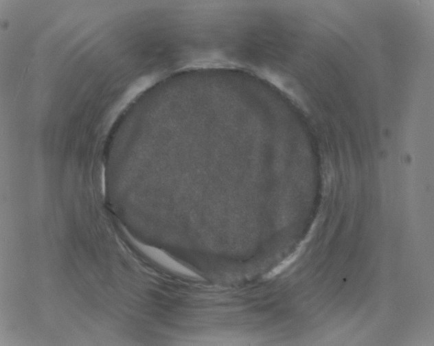 X0000076271221200610262022