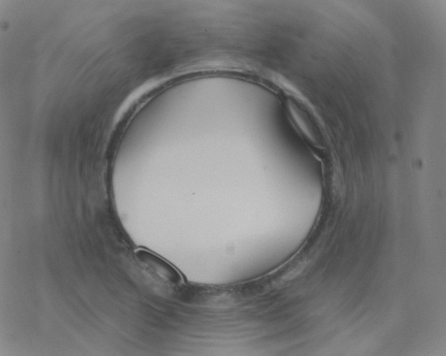 X0000076271222200610262022