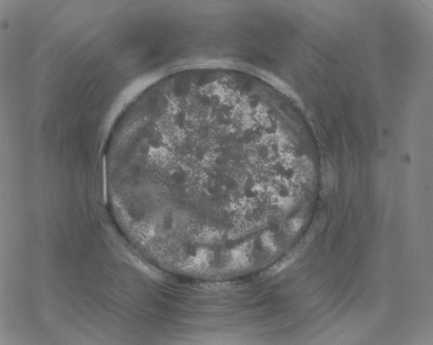 X0000076271223200610262022