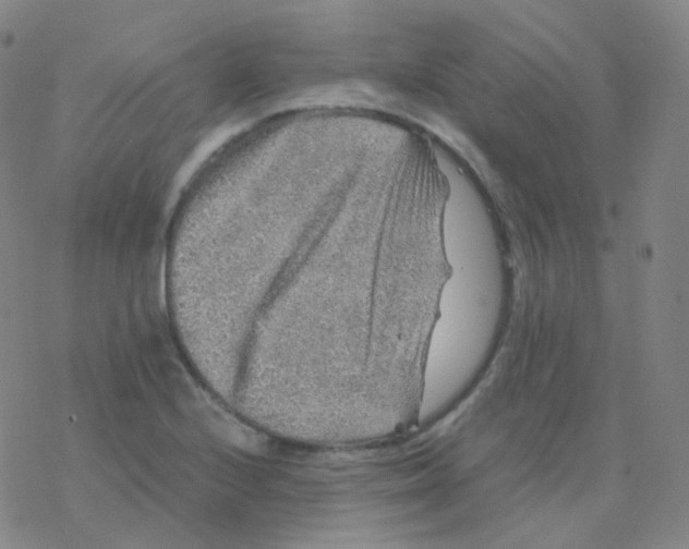 X0000076271224200610262022