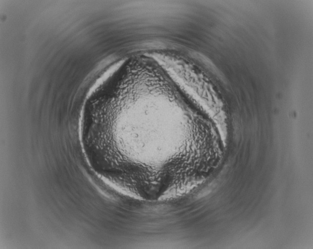 X0000076271225200610262022