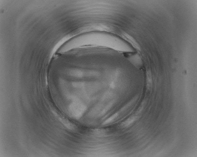 X0000076271226200610262022