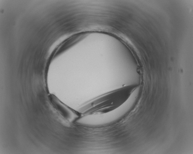 X0000076271230200610262022