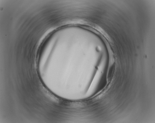 X0000076271232200610262022