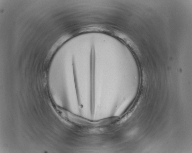 X0000076271233200610262022