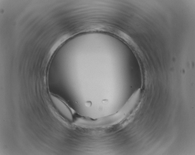 X0000076271234200610262022