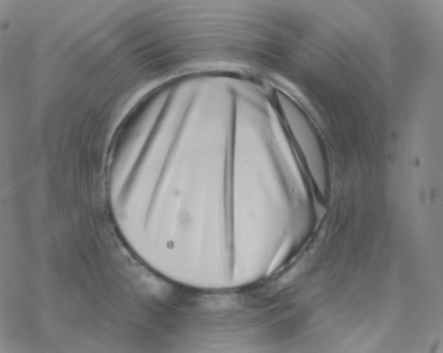 X0000076271236200610262022