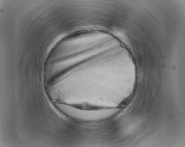 X0000076271237200610262022