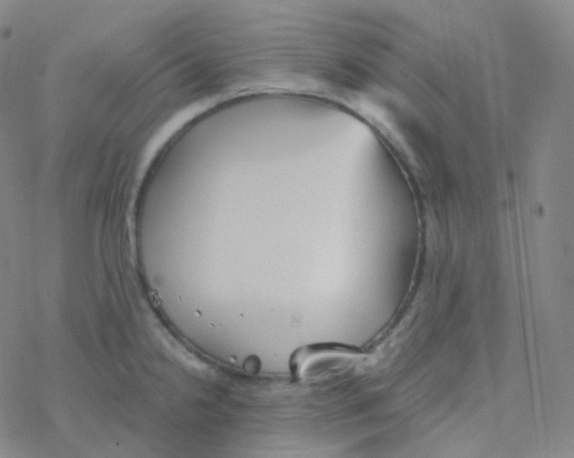 X0000076271238200610262022