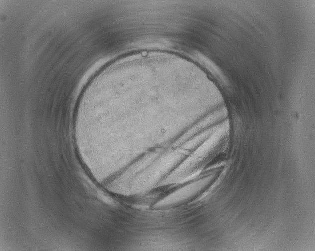 X0000076271240200610262022