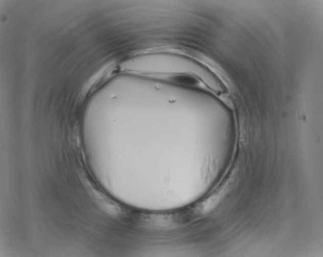 X0000076271241200610262022