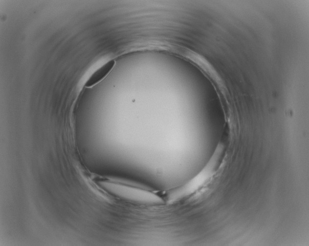 X0000076271242200610262022