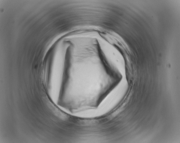 X0000076271244200610262022