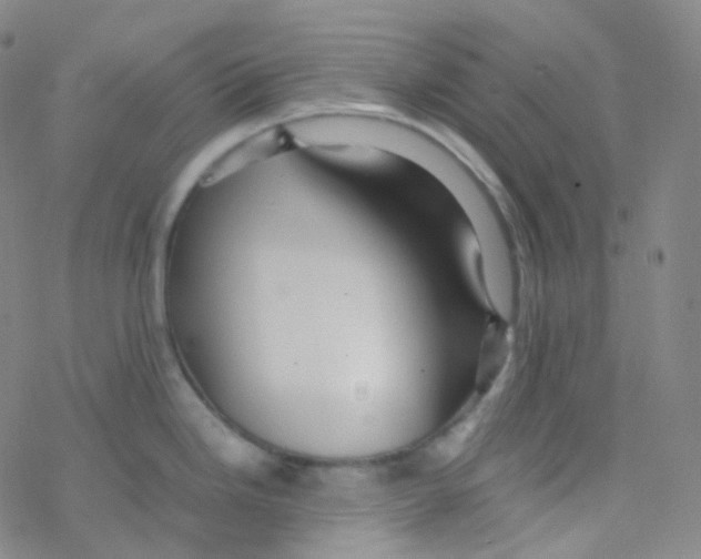 X0000076271246200610262022