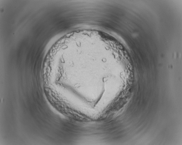 X0000076271247200610262022