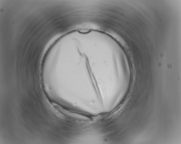 X0000076271248200610262022