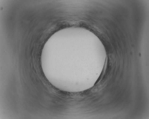 X0000076271249200610262021