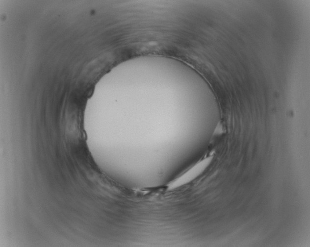 X0000076271250200610262021