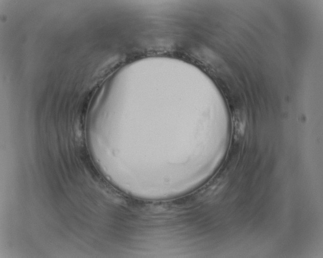 X0000076271252200610262021