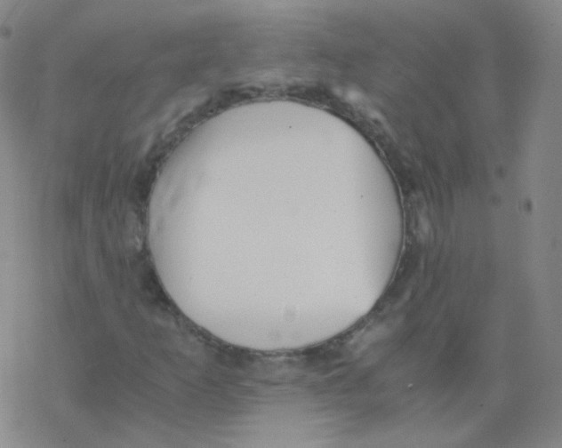 X0000076271253200610262021