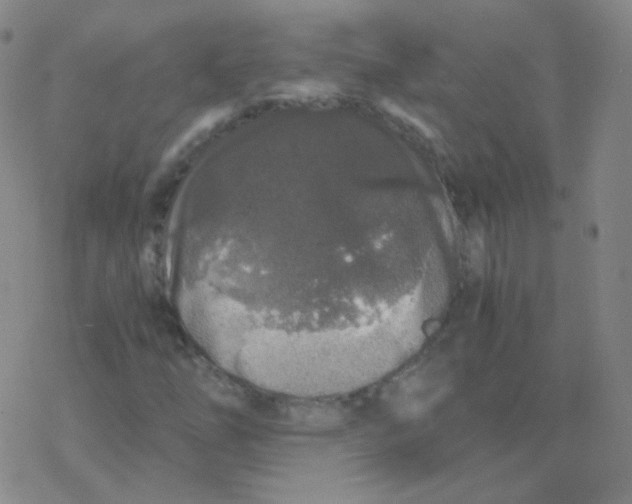 X0000076271254200610262021