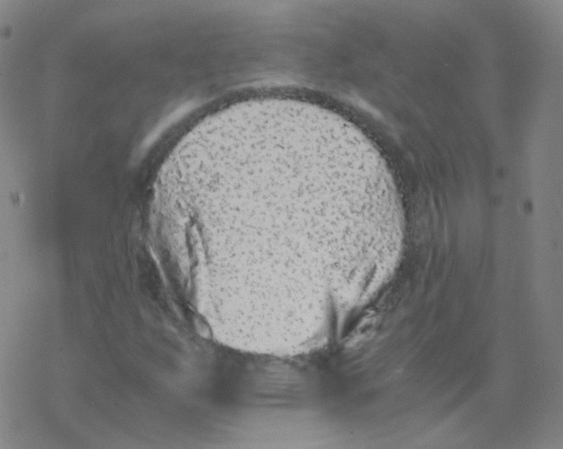 X0000076271255200610262021