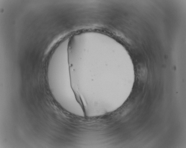 X0000076271256200610262021