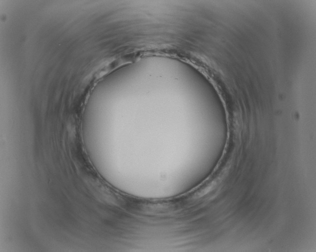 X0000076271257200610262021