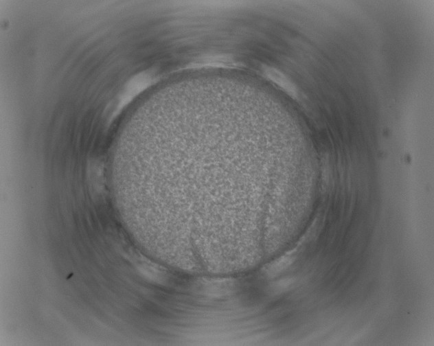 X0000076271258200610262021