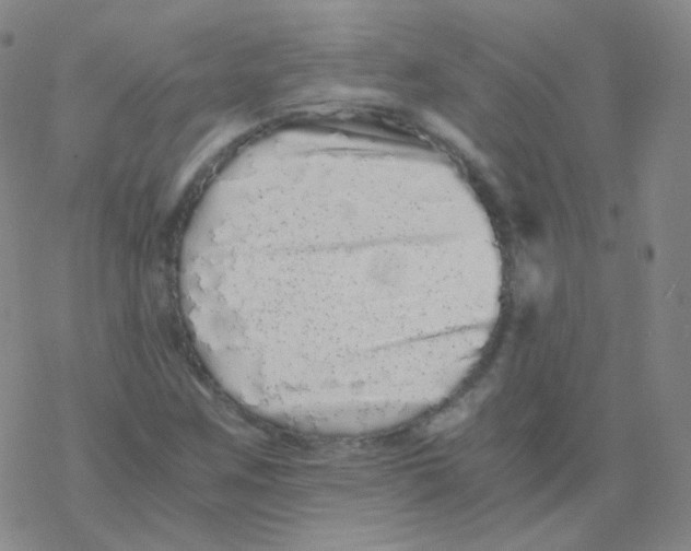 X0000076271259200610262021