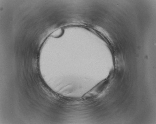 X0000076271260200610262021