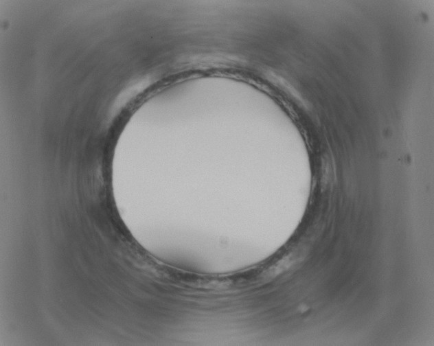 X0000076271261200610262021