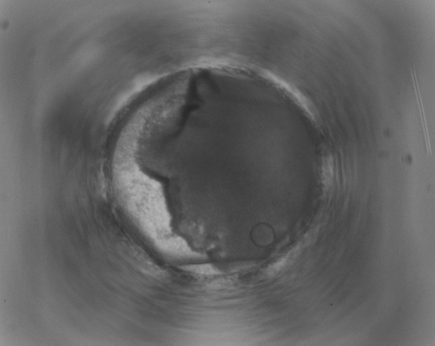 X0000076271262200610262021