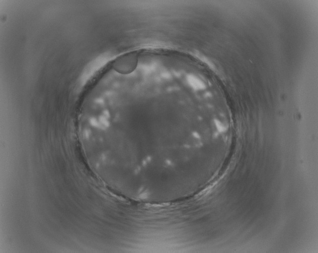 X0000076271263200610262021