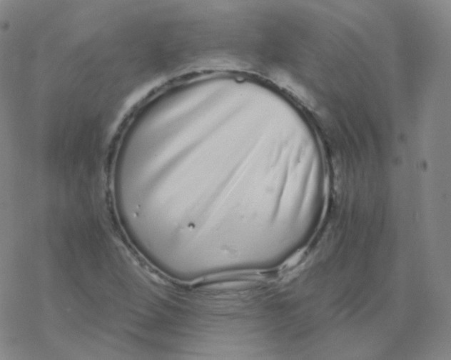 X0000076271264200610262021